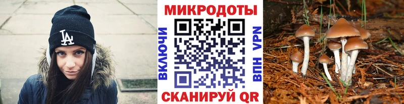 Купить  Приморско-Ахтарск  Псилоцибиновые грибы ЛСД 